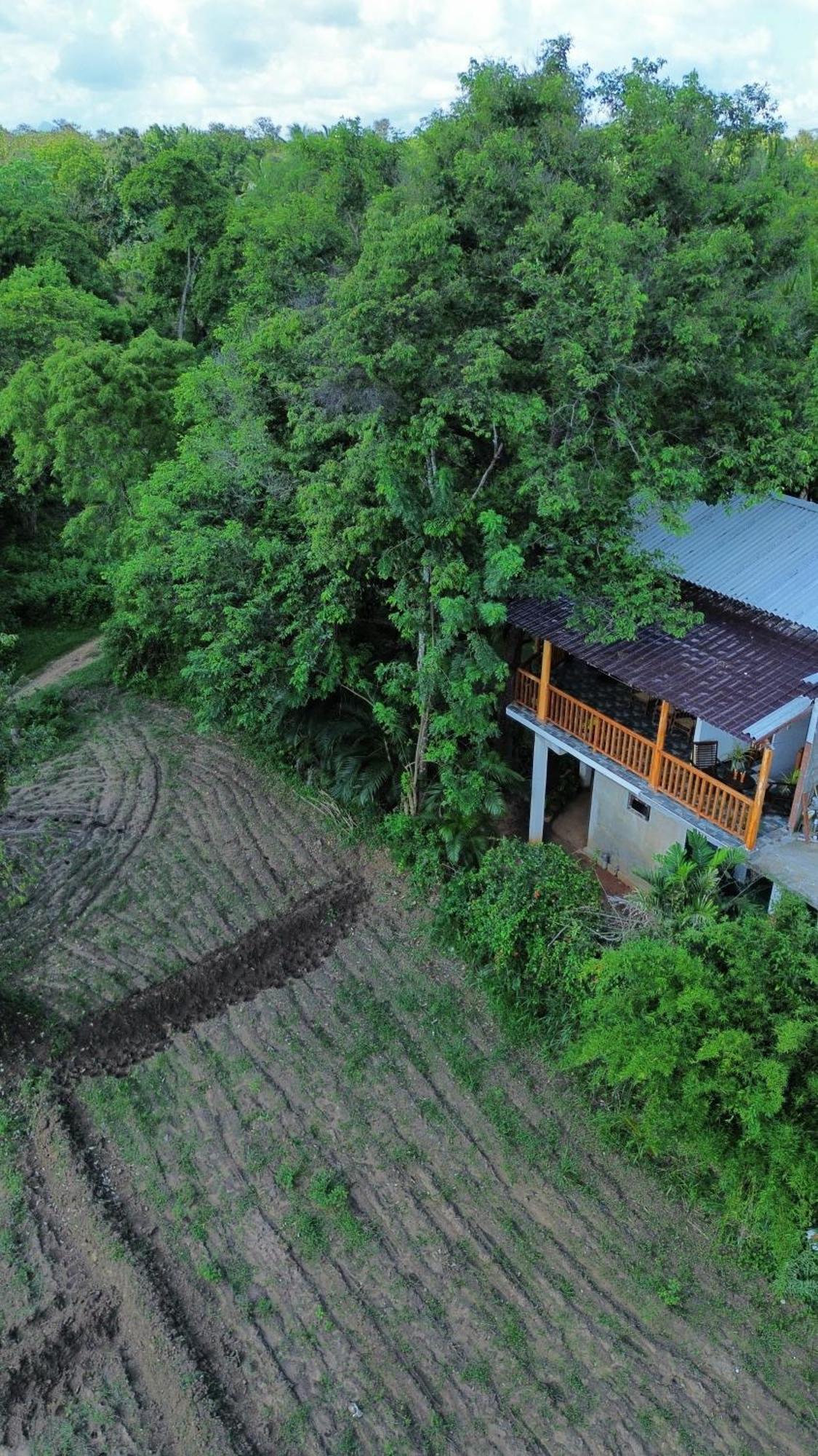 Sigiri Dilu Villa Sigiriya Exterior photo